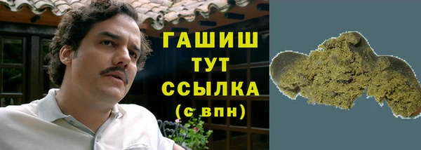 твердый Богданович