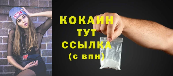 твердый Богданович
