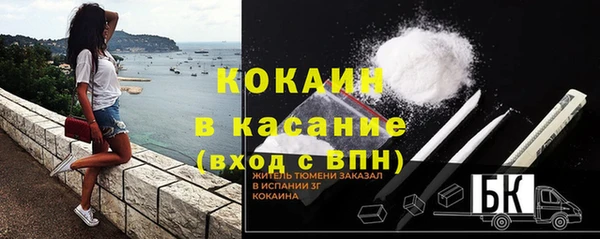 твердый Богданович