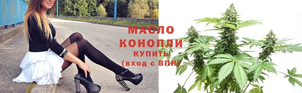 mix Богородицк